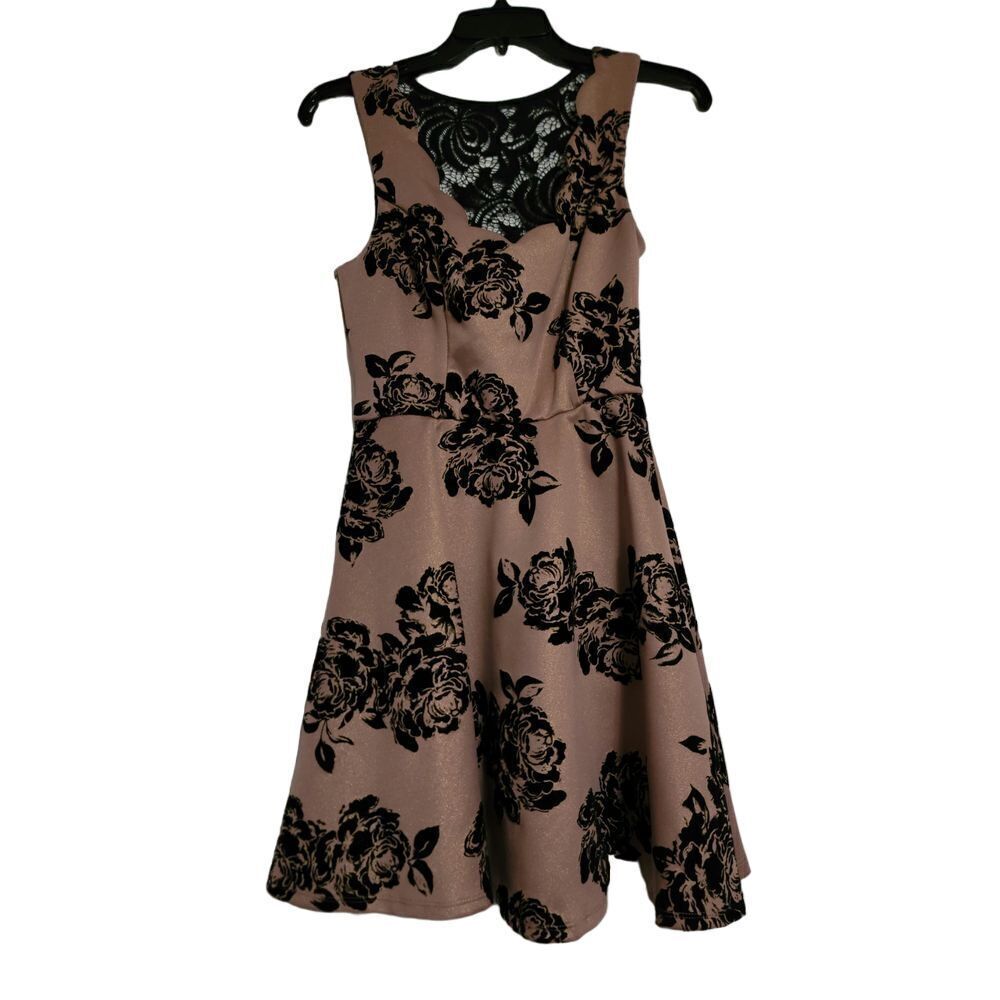 Trixxi Elegant Pale Pink Black Velvet‎ Floral Lace Dress